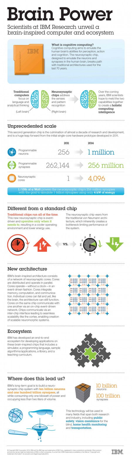 IBM SyNAPSE Infographic