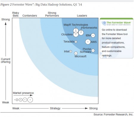 9 Forrester hadoop