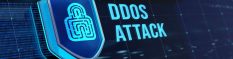 Pas de répit sur le front des attaques DDoS