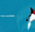 Oracle lance Java 24