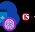 F5 s'offre CalypsoAI