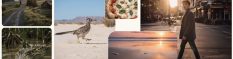 Microsoft lance son modèle maison de génération d'images photo-réalistes : MAI-Image-1